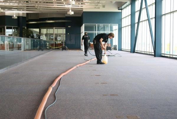 Mass Carpet Care