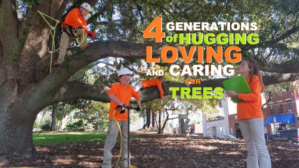 Arbormax Tree Service