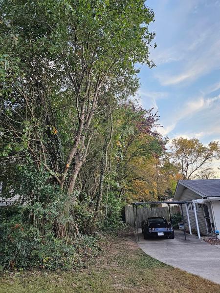 Arbormax Tree Service