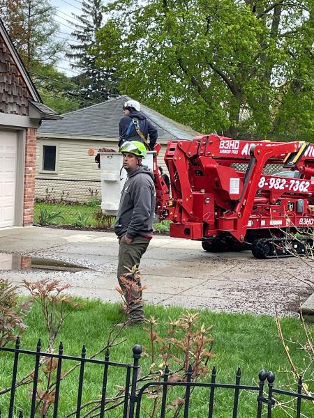 ABK Tree Services