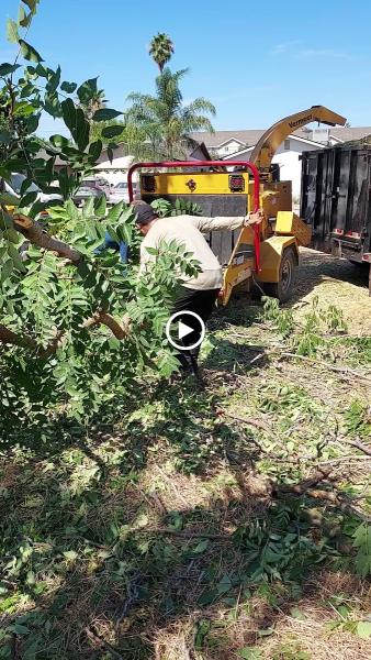 A.b.o Tree Service