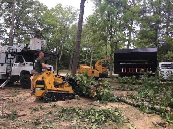 Chris Amschler Tree Service and Landscaping