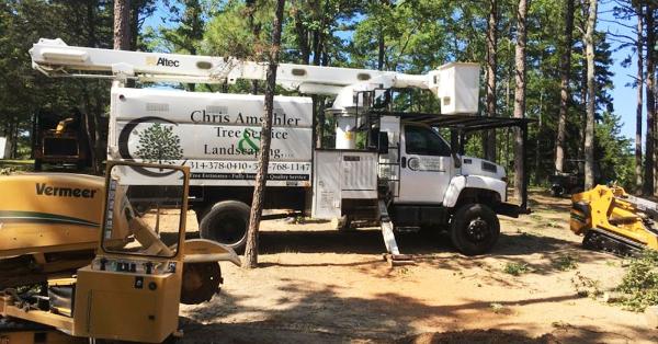 Chris Amschler Tree Service and Landscaping