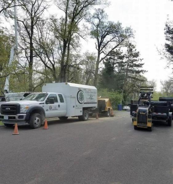 Chris Amschler Tree Service and Landscaping