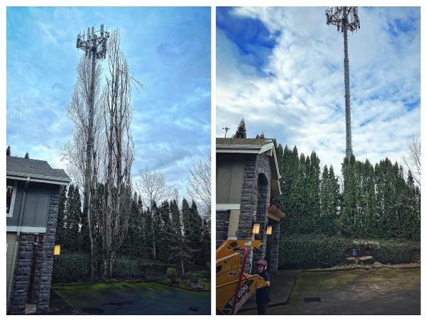 Emerald Valley Tree Service LLC