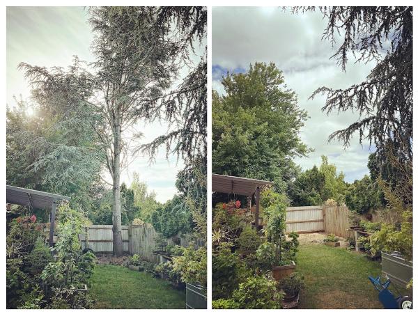 Emerald Valley Tree Service LLC