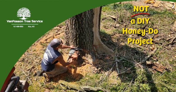Vanfosson Tree Service