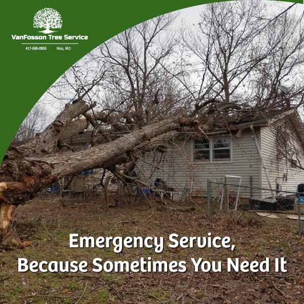 Vanfosson Tree Service