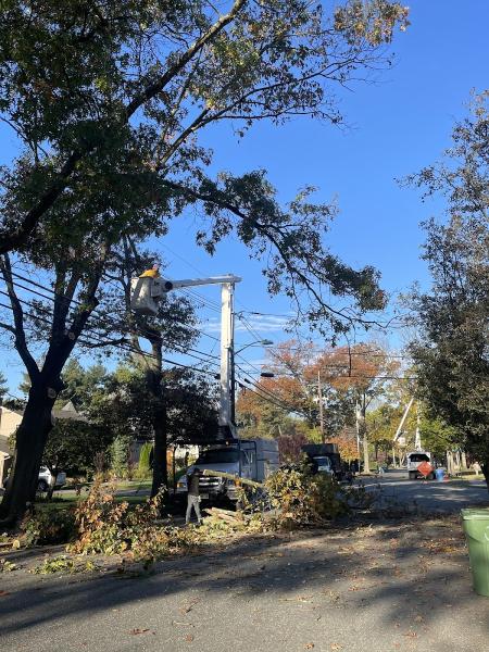 Prate's Tree Service