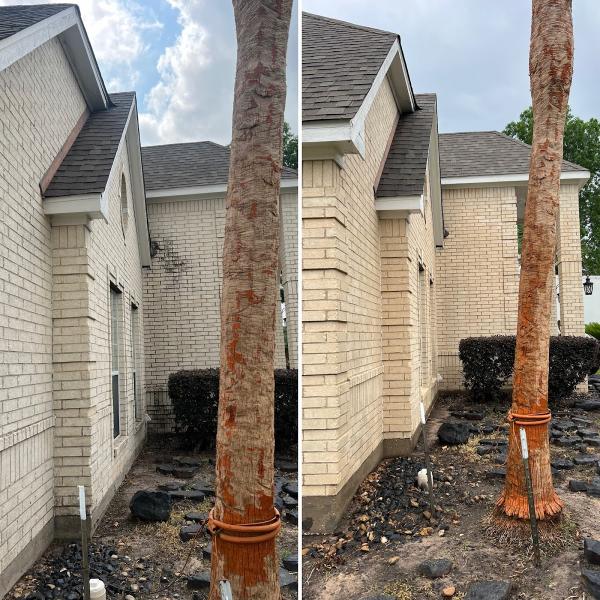 Champ's Power Washing