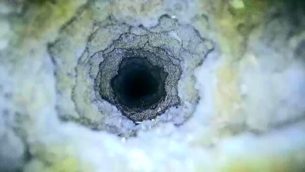 Dryer Vent Dynamics