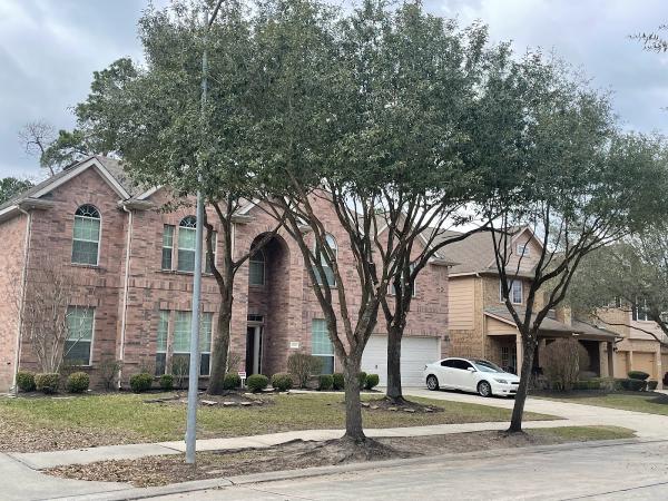 Spring Tree Service LLC