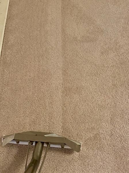 Sage Carpet Cleaning Services