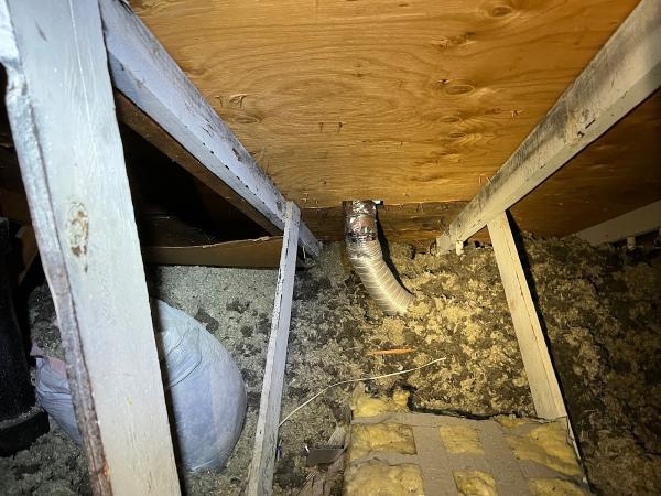 Oaktree Home Inspections & Sewer Scopes