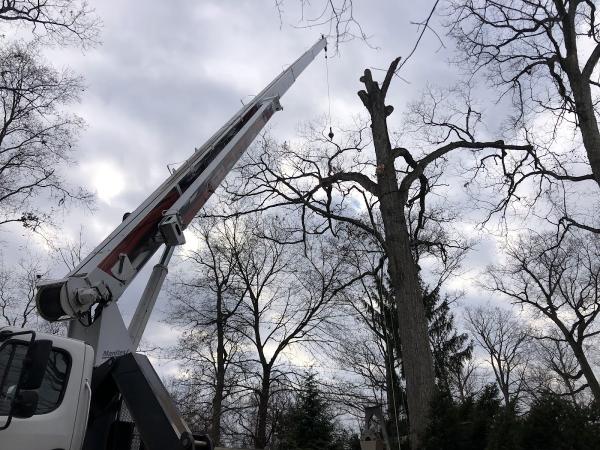 Inspire Tree Experts