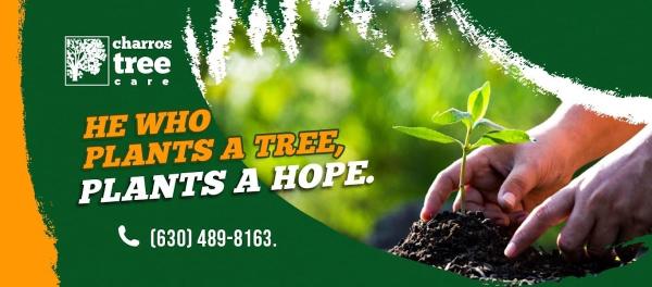 Charros Tree Care