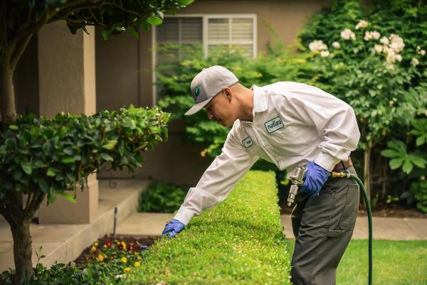 Natura Pest Control