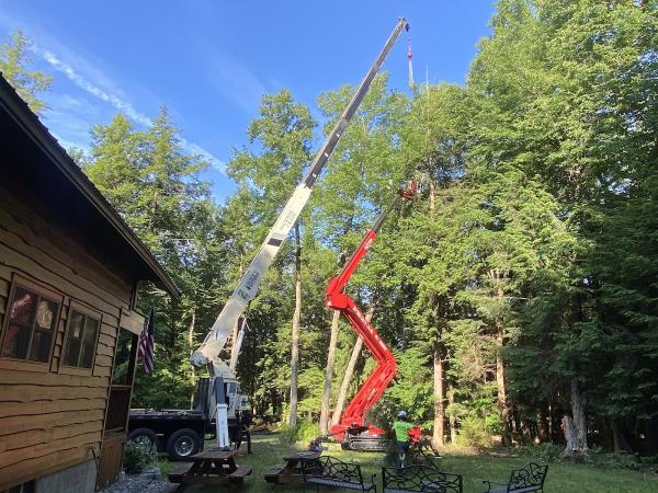 2 Chaps Tree Service