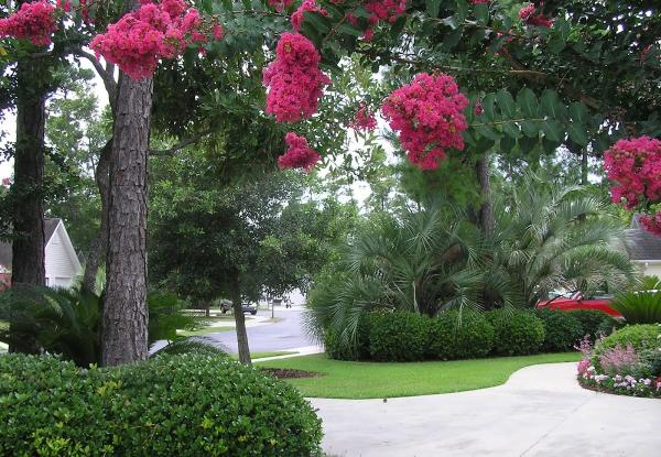 Gardens By Design