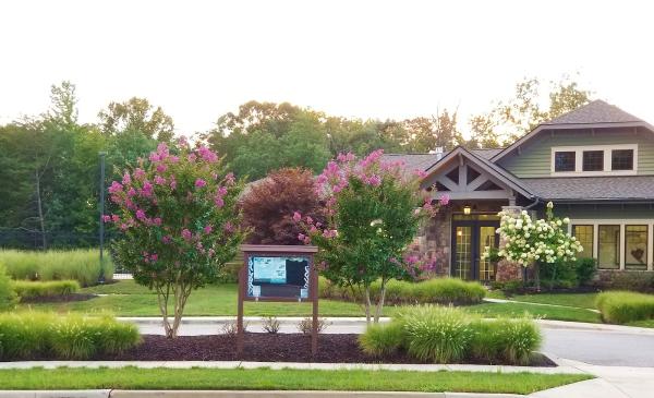 Tanyard Cove