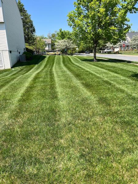 The Sarge Lawn and Landsculpting Services
