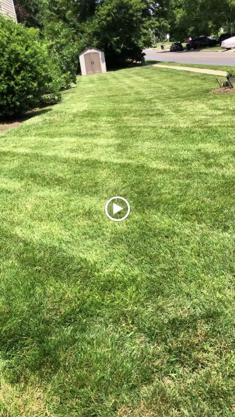 The Sarge Lawn and Landsculpting Services