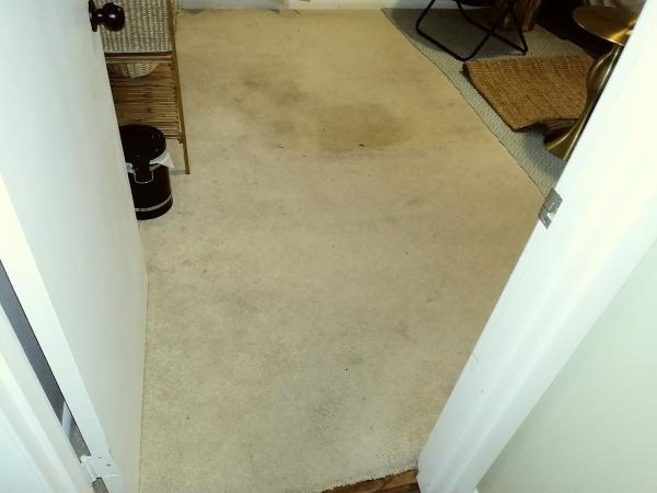 Absolute Carpet Cleaning Inc