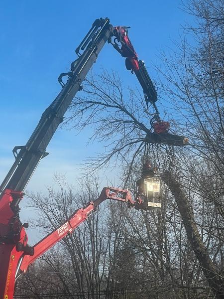 FJR Tree Inc