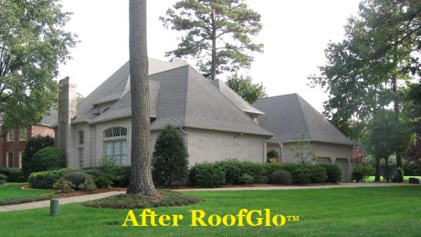 Roofglo Roof Cleaning
