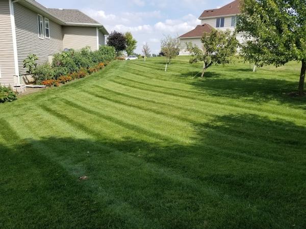 Green Clips Lawn Care LLC