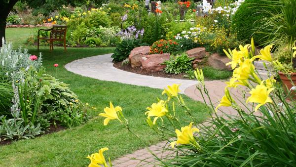 Grass Cutting- Hockessin