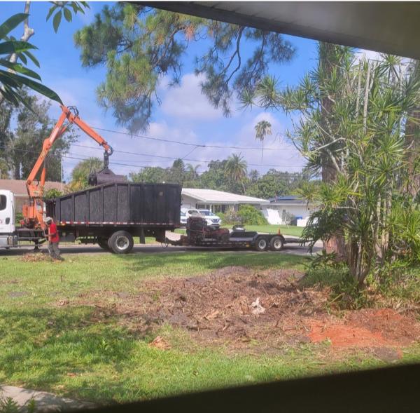 Yutzy Tree Service