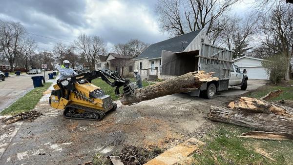Felix's Tree and Landscaping LLC