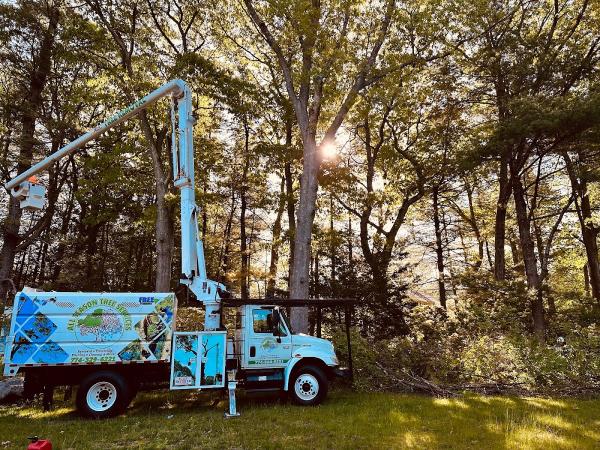 All Season Tree Services