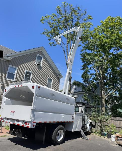 All Season Tree Services
