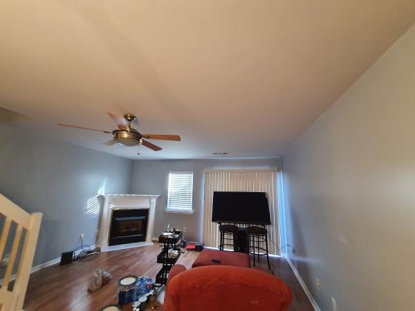Torogoz Painting & Multiservices LLC