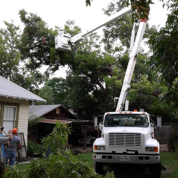 Precision Tree Service