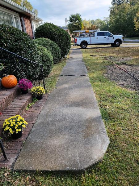 Bee Clean LLC