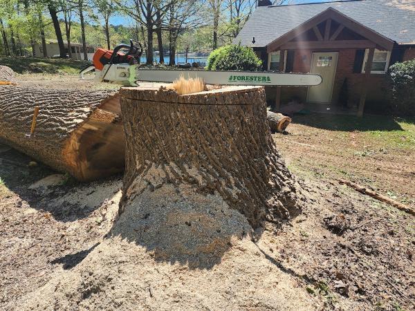 Honey do Landscape and Tree Service