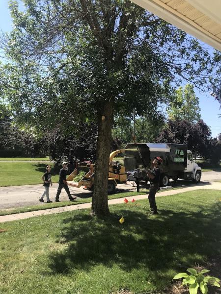 JT Tree Service