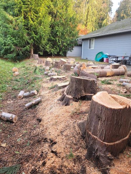 Welch Tree Service LLC