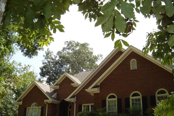 Ace Home Building & Construction