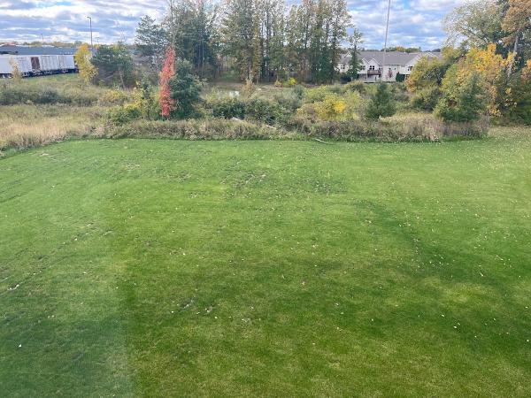 Bosch's Landscaping Specialists
