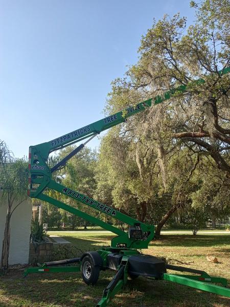 Fitzpatrick Tree Services