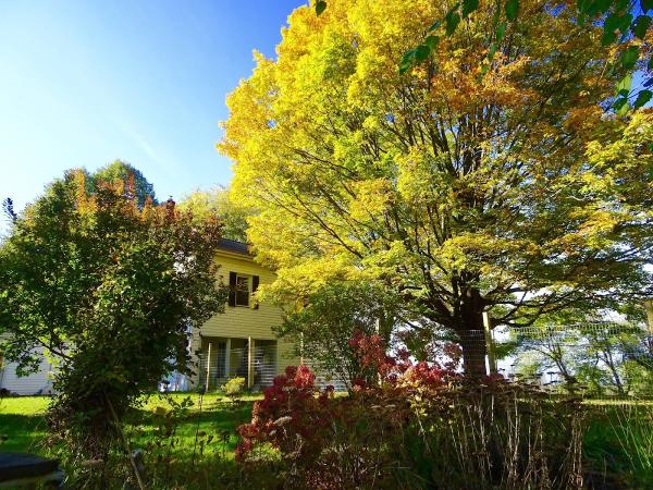 Northwoods Tree Care