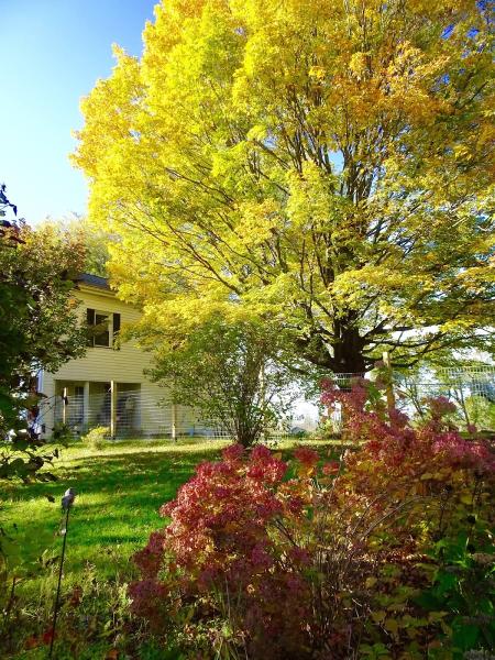 Northwoods Tree Care