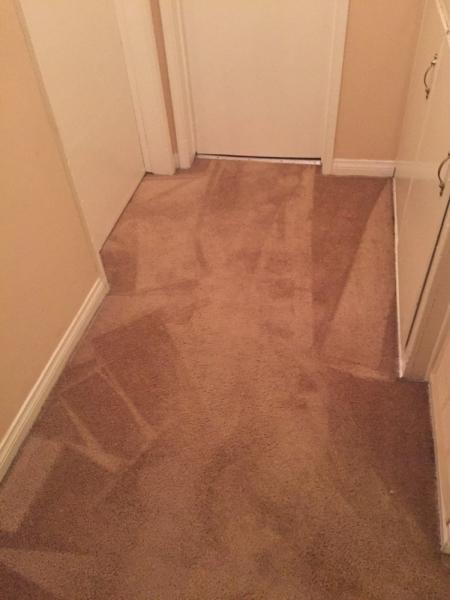 First Call Carpet Cleaning Service Co