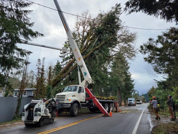 Cummings Tree Service