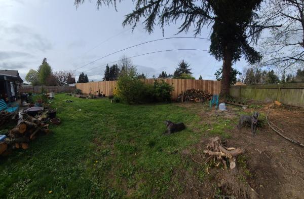Cummings Tree Service