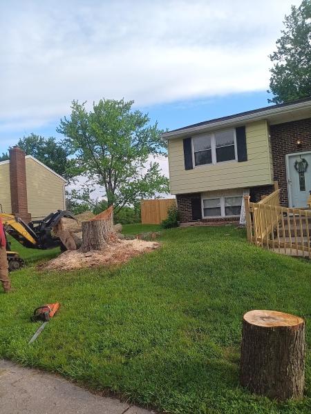 Rojas Chops Tree Service LLC
